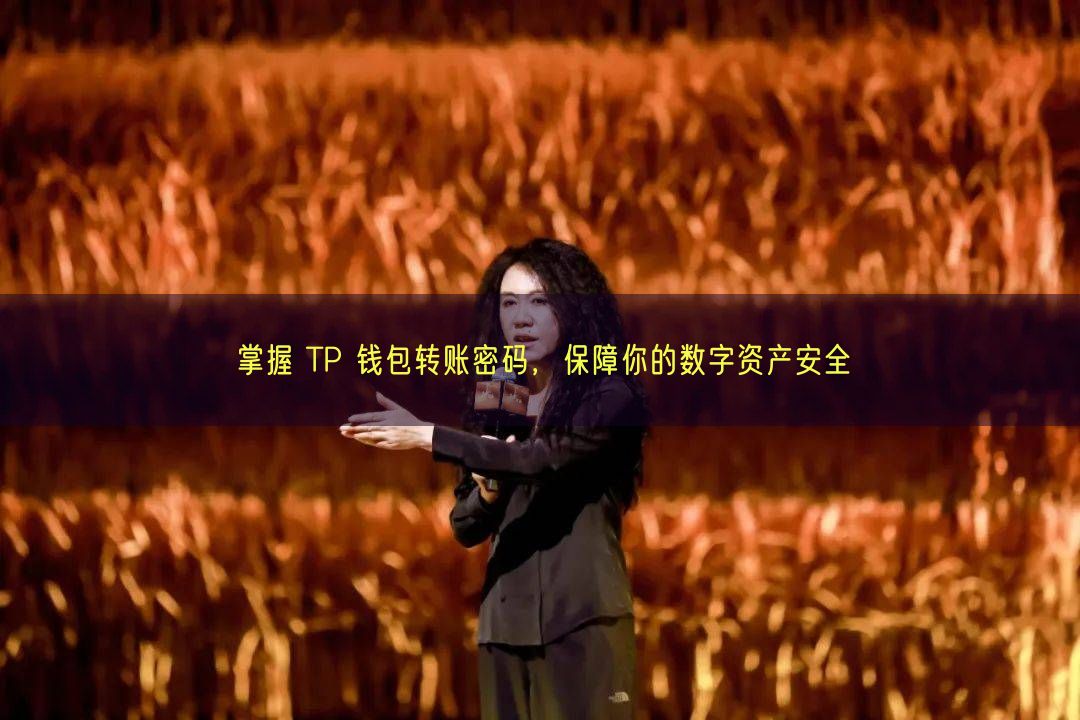 掌握 TP 钱包转账密码，保障你的数字资产安全