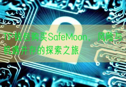 TP钱包购买SafeMoon，风险与机遇并存的探索之旅