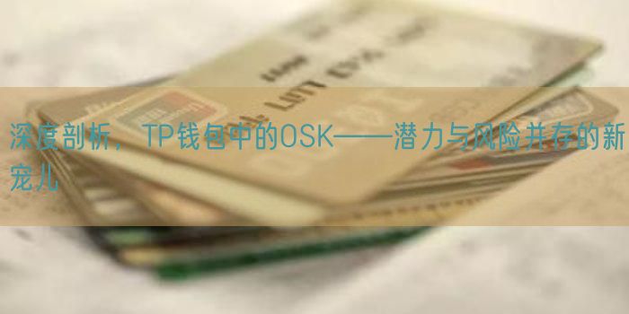 深度剖析，TP钱包中的OSK——潜力与风险并存的新宠儿