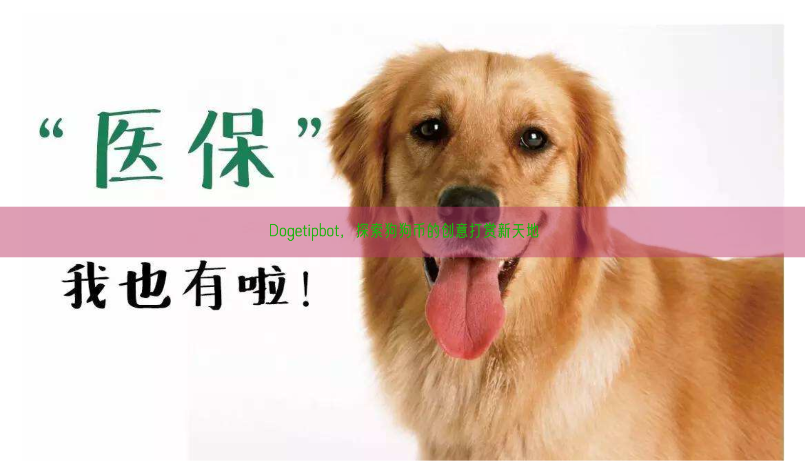 Dogetipbot，探索狗狗币的创意打赏新天地