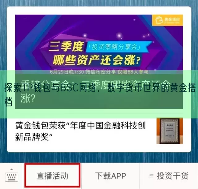 探索TP钱包与BSC网络，数字货币世界的黄金搭档