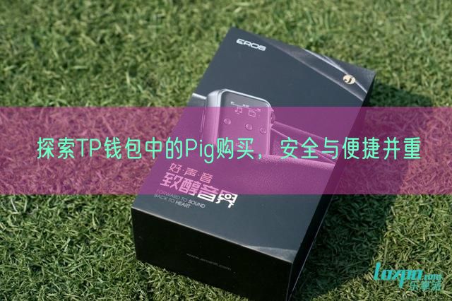 探索TP钱包中的Pig购买，安全与便捷并重