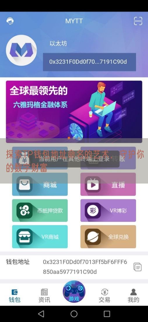 探索TP钱包地址命名的艺术，守护你的数字财富