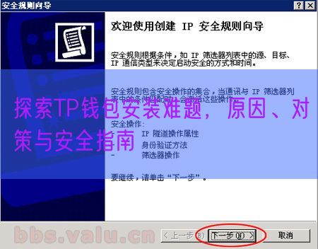 探索TP钱包安装难题，原因、对策与安全指南