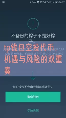 tp钱包空投代币，机遇与风险的双重奏