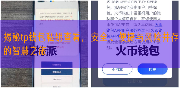 揭秘tp钱包私钥查看，安全、便捷与风险并存的智慧之旅