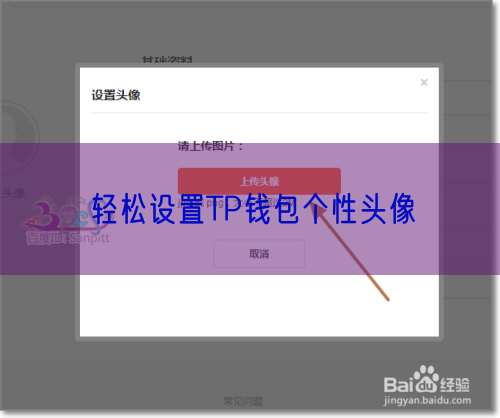 轻松设置TP钱包个性头像