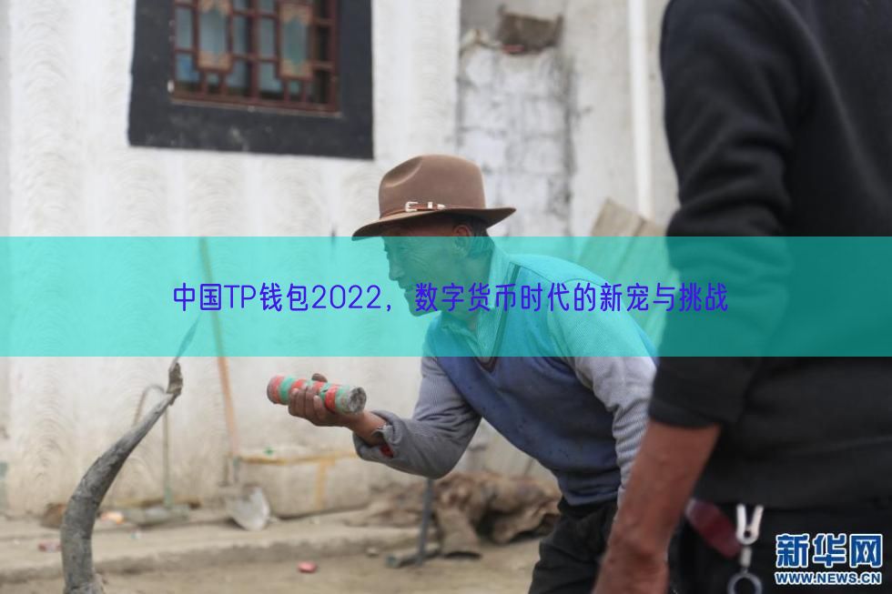 中国TP钱包2022，数字货币时代的新宠与挑战