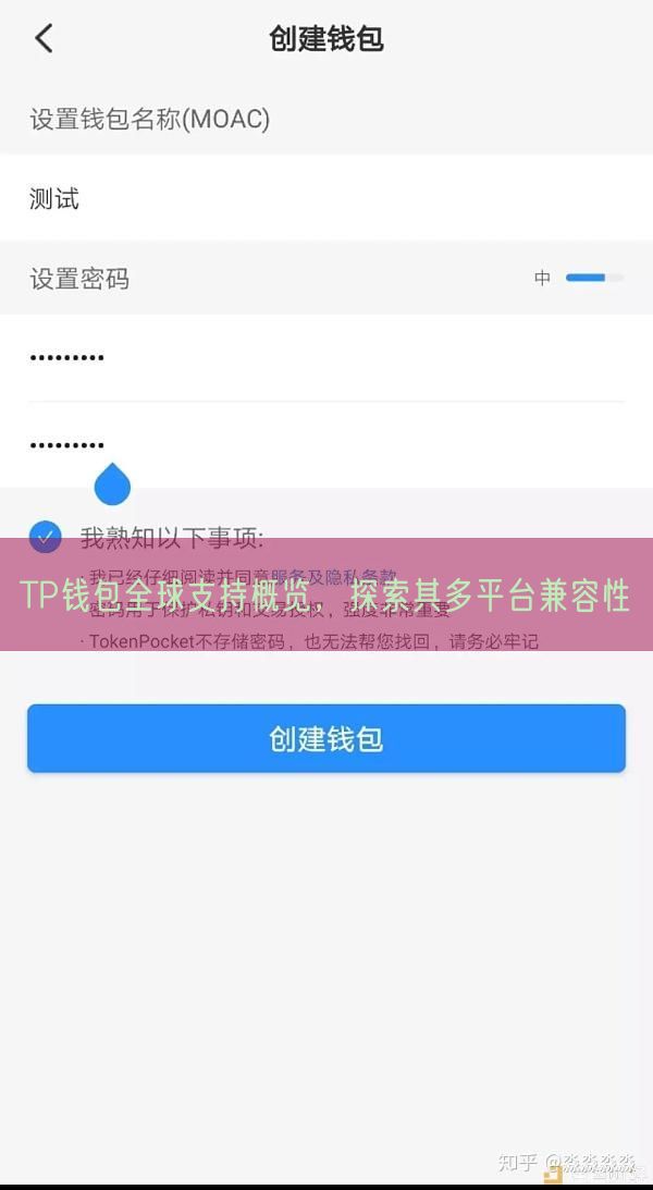 TP钱包全球支持概览，探索其多平台兼容性