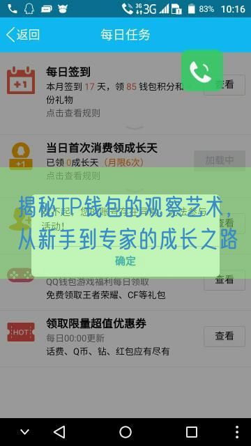 揭秘TP钱包的观察艺术，从新手到专家的成长之路