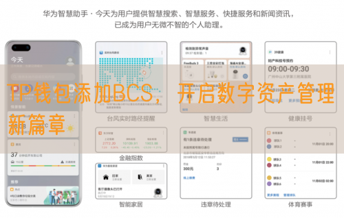 TP钱包添加BCS，开启数字资产管理新篇章