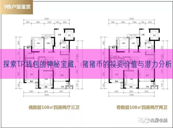 探索TP钱包的神秘宝藏，猪猪币的投资价值与潜力分析