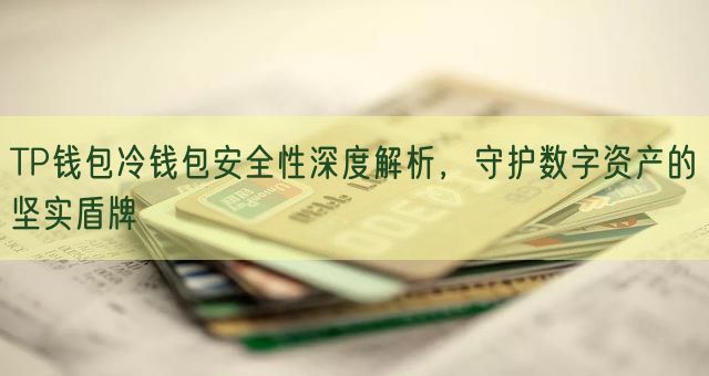 TP钱包冷钱包安全性深度解析，守护数字资产的坚实盾牌