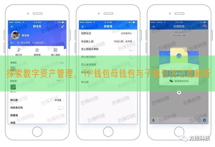 探索数字资产管理，TP钱包母钱包与子钱包的功能解析