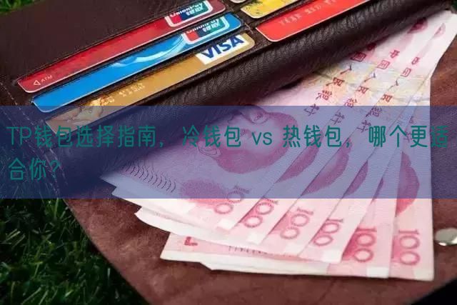 TP钱包选择指南，冷钱包 vs 热钱包，哪个更适合你？