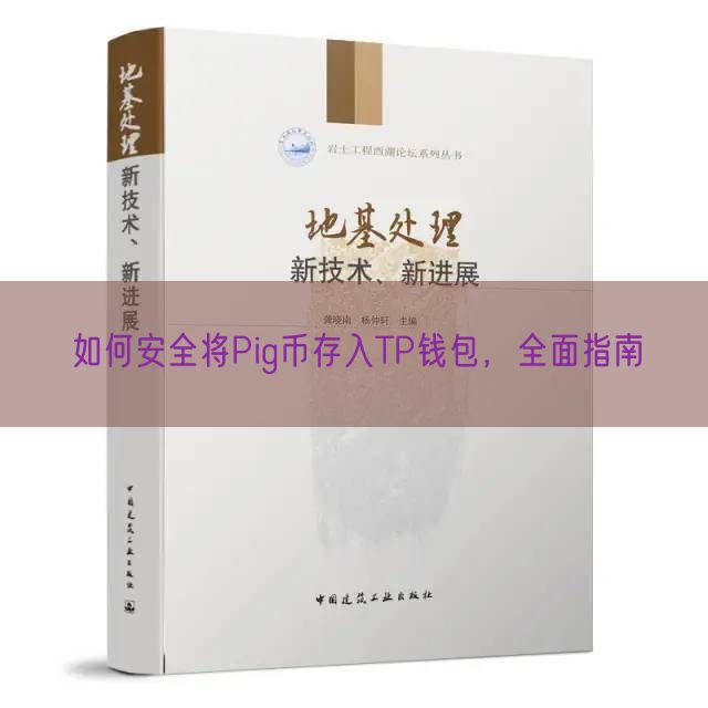 如何安全将Pig币存入TP钱包，全面指南