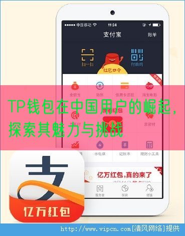 TP钱包在中国用户的崛起，探索其魅力与挑战