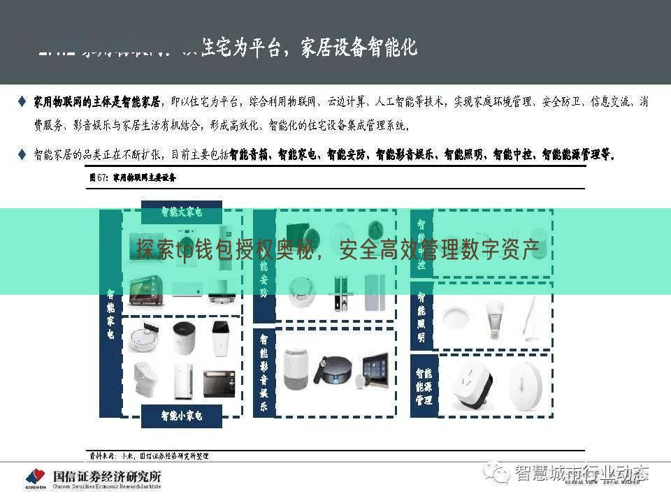 探索tp钱包授权奥秘，安全高效管理数字资产