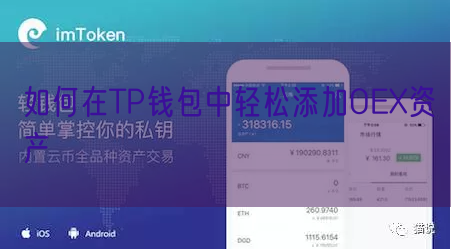 如何在TP钱包中轻松添加OEX资产