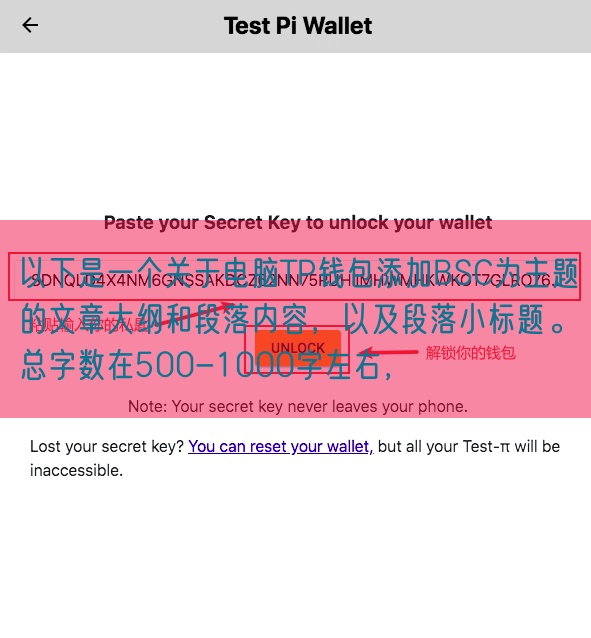 以下是一个关于电脑TP钱包添加BSC为主题的文章大纲和段落内容，以及段落小标题。