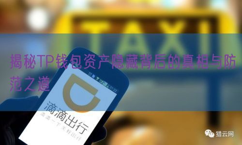 揭秘TP钱包资产隐藏背后的真相与防范之道