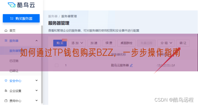 如何通过TP钱包购买BZZ，一步步操作指南