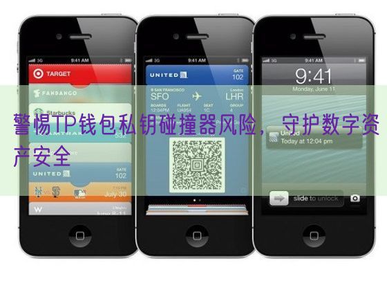警惕TP钱包私钥碰撞器风险，守护数字资产安全