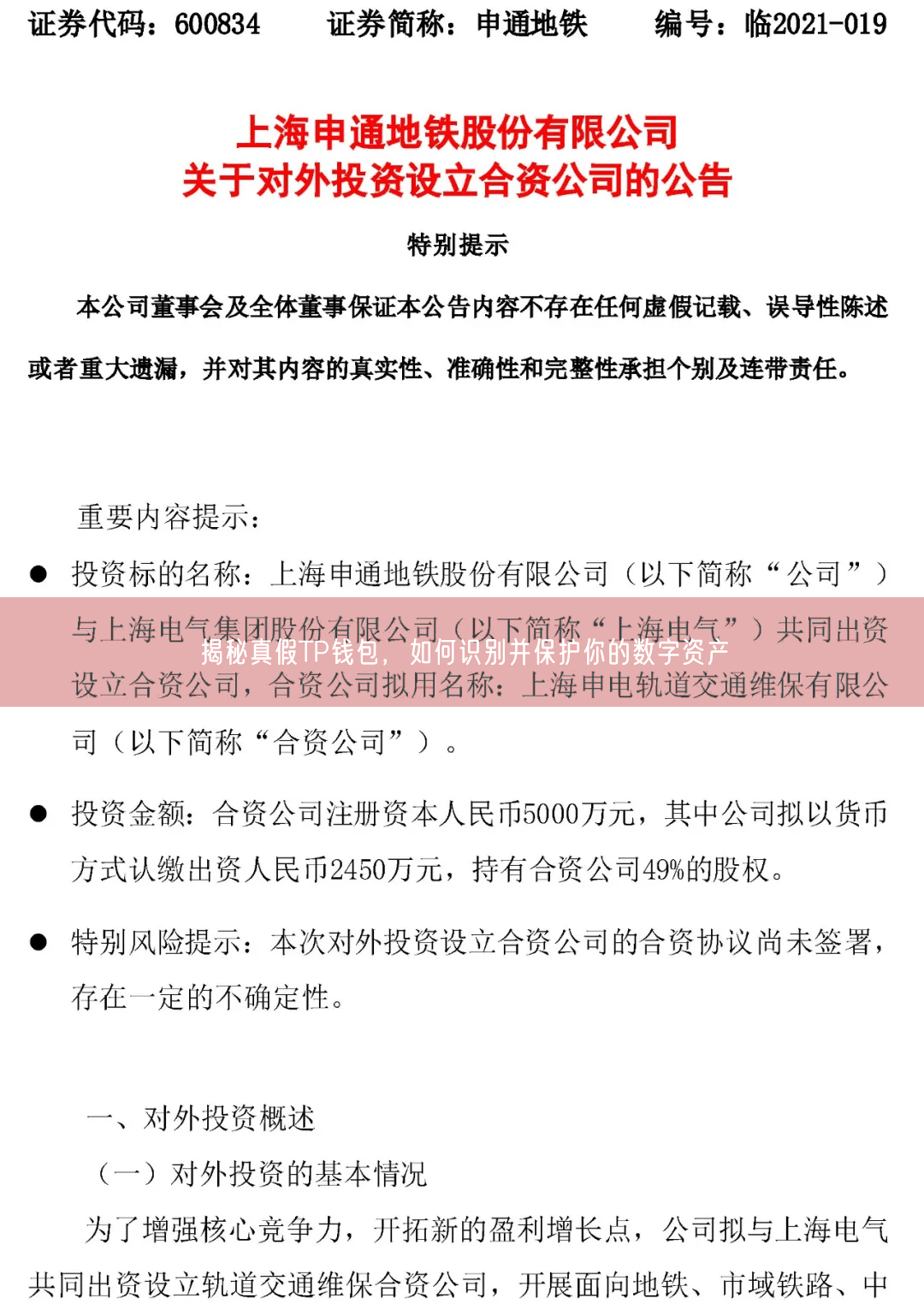 揭秘真假TP钱包，如何识别并保护你的数字资产