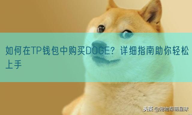 如何在TP钱包中购买DOGE？详细指南助你轻松上手