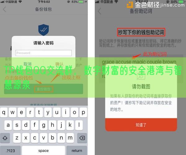TP钱包QQ交流群，数字财富的安全港湾与智慧源泉