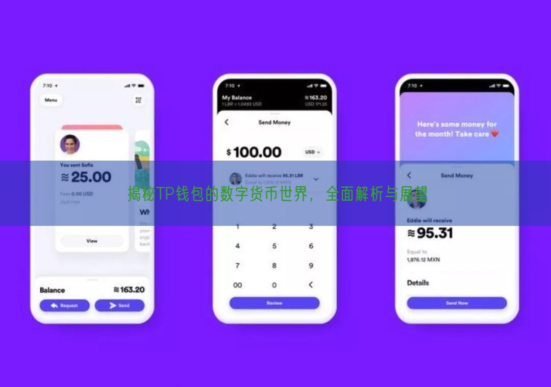 揭秘TP钱包的数字货币世界，全面解析与展望