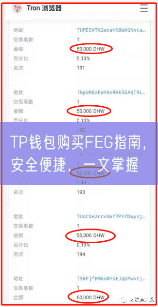 TP钱包购买FEG指南，安全便捷，一文掌握