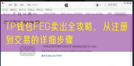 TP钱包FEG卖出全攻略，从注册到交易的详细步骤