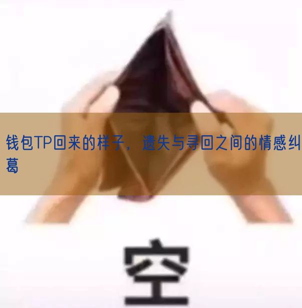 钱包TP回来的样子，遗失与寻回之间的情感纠葛