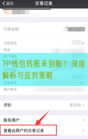 TP钱包转账未到账？深度解析与应对策略