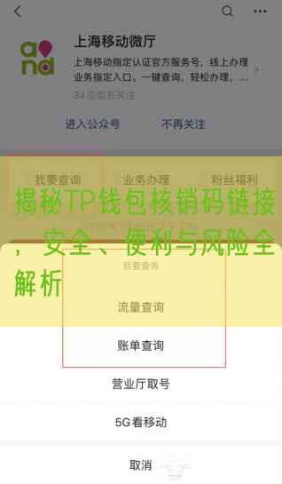 揭秘TP钱包核销码链接，安全、便利与风险全解析