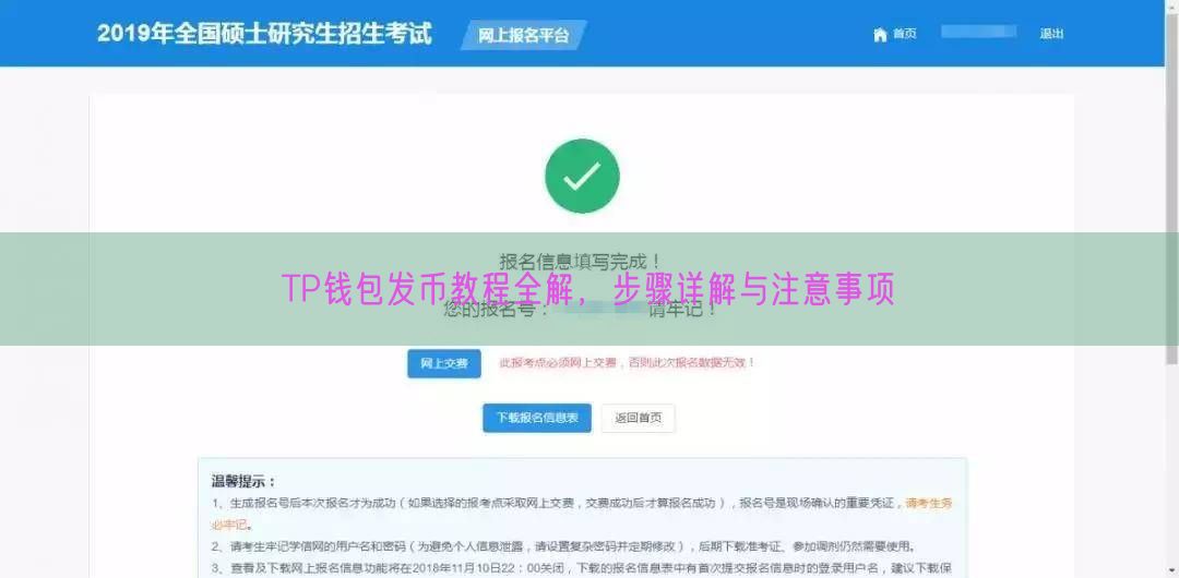 TP钱包发币教程全解，步骤详解与注意事项