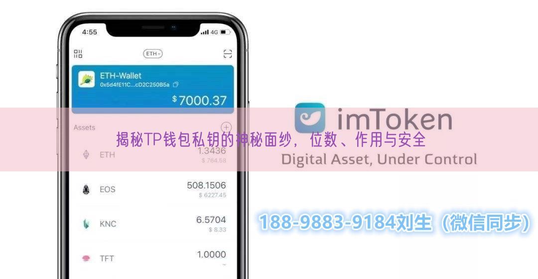 揭秘TP钱包私钥的神秘面纱，位数、作用与安全