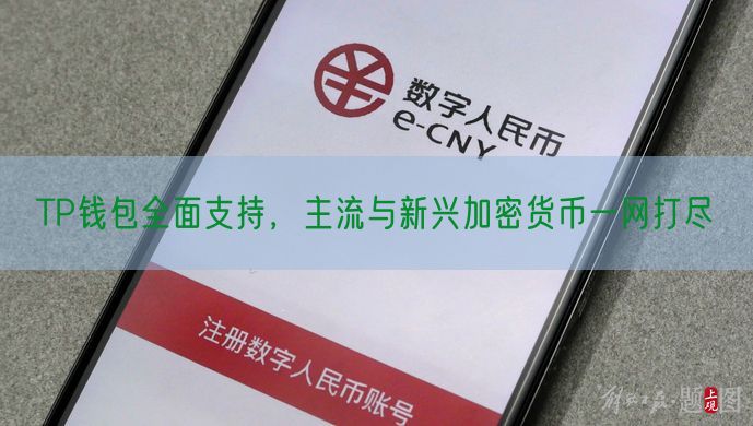 TP钱包全面支持，主流与新兴加密货币一网打尽