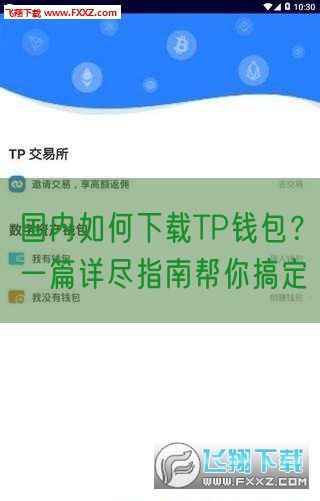 国内如何下载TP钱包？一篇详尽指南帮你搞定