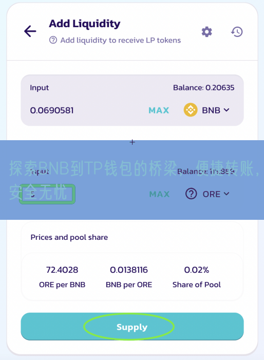 探索BNB到TP钱包的桥梁，便捷转账，安全无忧