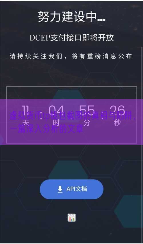 虚拟货币tp钱包截图的真相与陷阱，一篇深入分析的文章