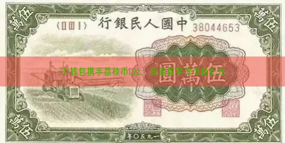 TP钱包携手荔枝币Liz，探索数字货币新纪元