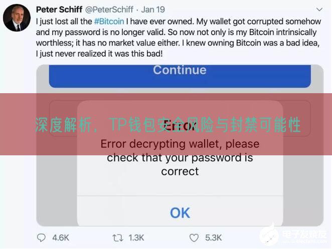 深度解析，TP钱包安全风险与封禁可能性