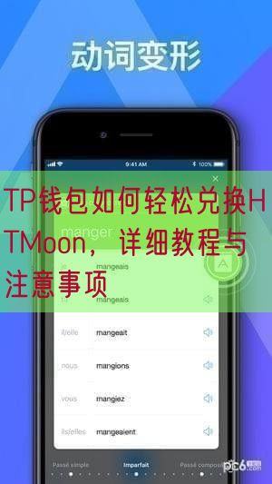 TP钱包如何轻松兑换HTMoon，详细教程与注意事项