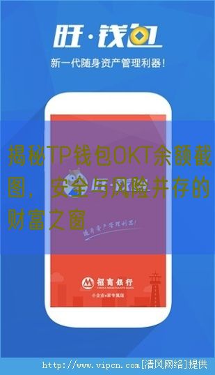 揭秘TP钱包OKT余额截图，安全与风险并存的财富之窗