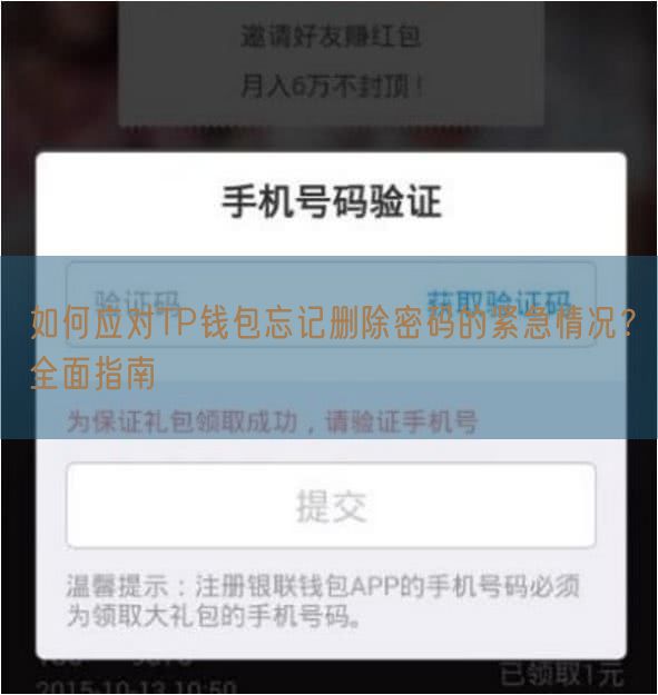 如何应对TP钱包忘记删除密码的紧急情况？全面指南