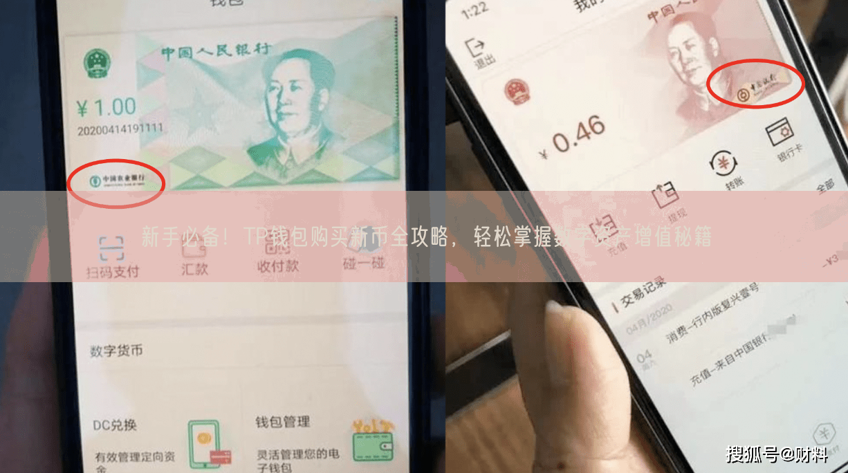 新手必备！TP钱包购买新币全攻略，轻松掌握数字资产增值秘籍
