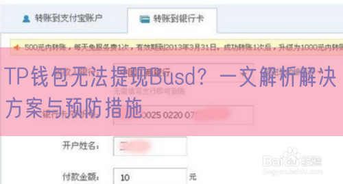 TP钱包无法提现Busd？一文解析解决方案与预防措施