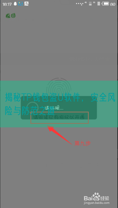 揭秘TP钱包盗U软件，安全风险与防范之道